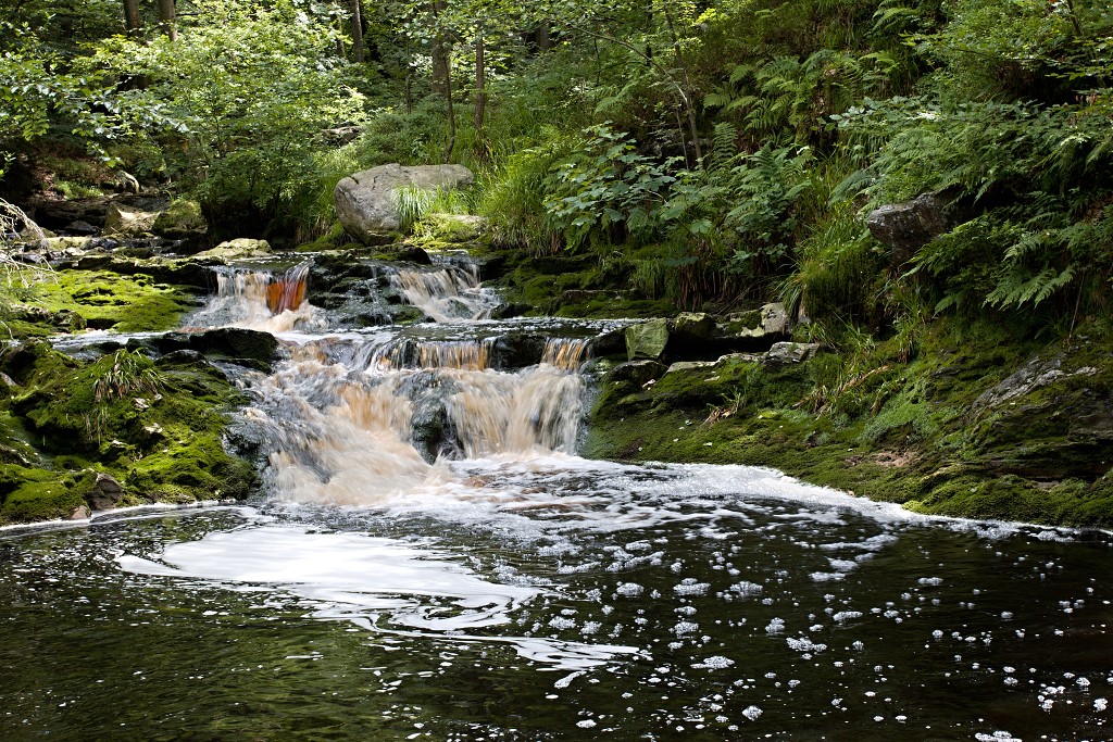 ardennen belgie natuur natuurgebied bos bossen eifel gebergte wandelen fietsen kanoen kasteel hdr hdr